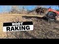 Root Raking Newly Cleared Plot