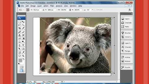 Chapter 6 - Part 3 - Placing an Image File | Class 8 Computer