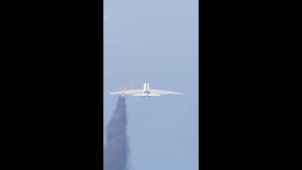 Cow Accidentally Comes Runway During Airplane Emergency Landing