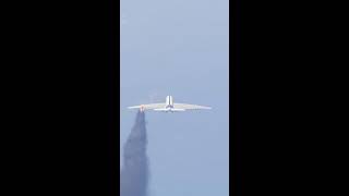 Cow Accidentally Comes Runway During Airplane Emergency Landing screenshot 4