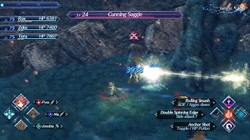 Xenoblade Chronicles 2 Cunning Saggie Named Monster