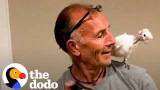 30-Year-Old Bird Is Determined For Dad To Love Her | The Dodo Resimi