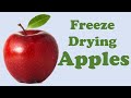 Freeze dried apples