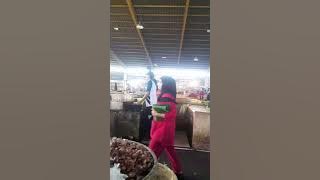 Jika suatau saat nanti kamau merindukanku carilah aku didalam hatimu.  #motivation #short #reels 