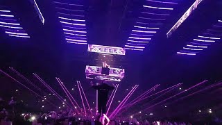 Bringing The Madness Reflactions - Somebody That I Used To Know / Calling (dimitri vegas&like mike)