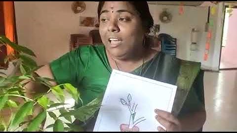 Std 7 Basic Science Unit 1 Class 01 White Board CP