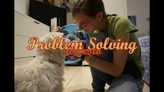 Problem Solving 🐶 Il cesto by MilkyWayYT 360 views 4 years ago 2 minutes, 46 seconds