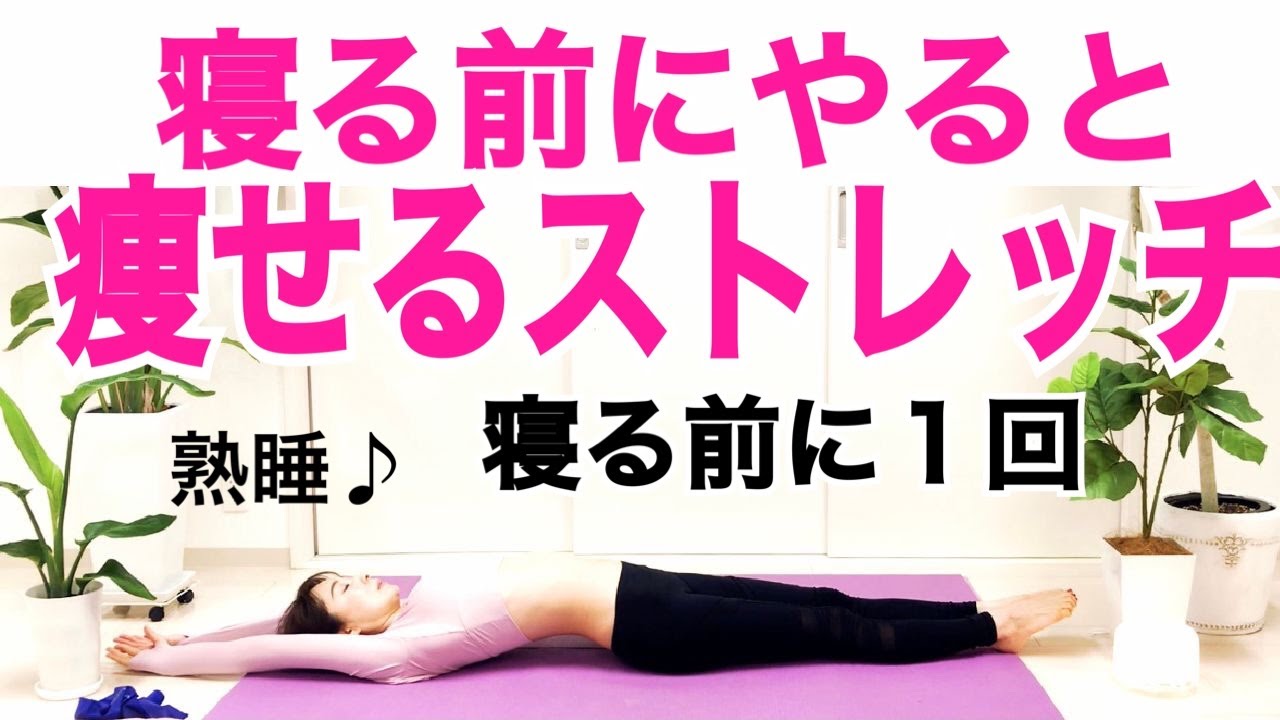 Download 寝る前にやると痩せるナイトルーテ