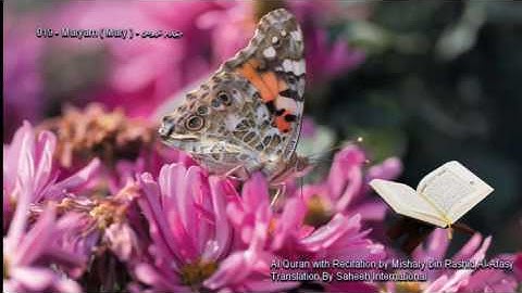 019. Maryam (Mary)  سورة مريم  (Quran in Arabic and English)