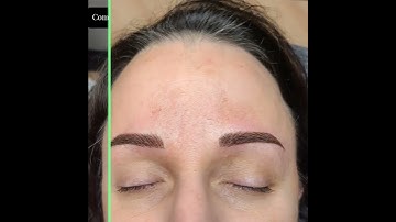 Combination Brows by GREAT BROWS Lakeland FL