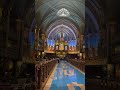 #singer #music #songcover #coversong #igreja #iglesia #notredame #prayer #jesus #papa#pope #temple