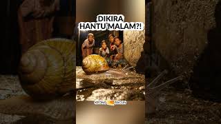 Keong Bikin Warga Kampung Ketakutan