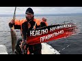 Настоящая морская рыбалка в Баренцевом море. Ловля трески. Отдых и развлечения в Мурманске.