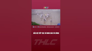 Bắc bộ tiếp tục có mưa rào và dông | THLC