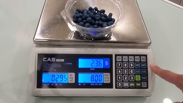 CAS S2000JR Price Computing Scale - Basic Operation,  Setting the Tare, and Sales Process