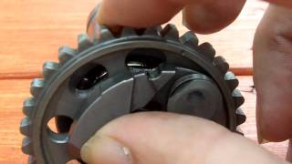 YFZ Exhaust Cam Info