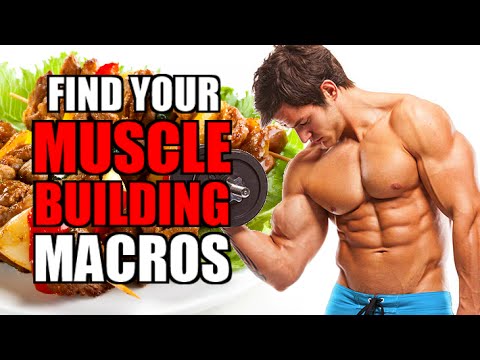 THE EASIEST WAY TO CALCULATE YOUR BODYBUILDING MACROS | CALORIC SURPLUS