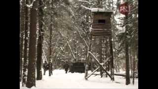 Зимняя охота на кабана в Кирейково(Зимняя охота на кабана в Кирейковском охотхозяйстве. Видеожурнал 