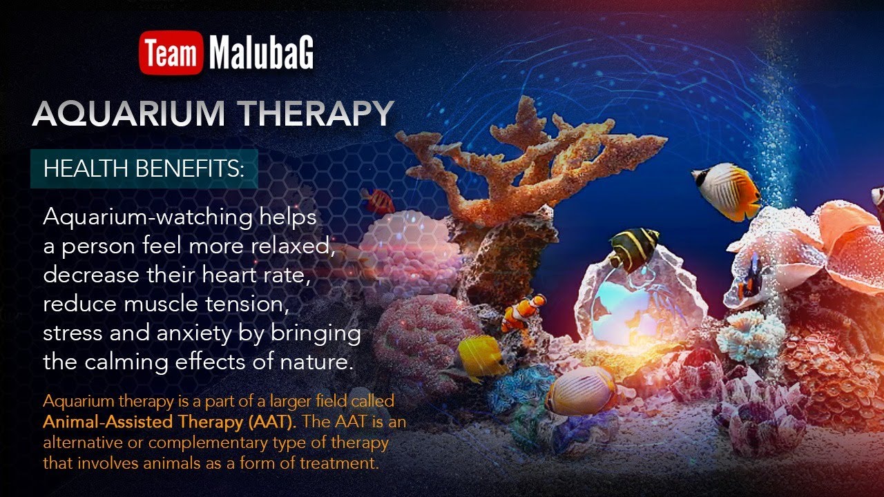 AQUARIUM THERAPY YouTube