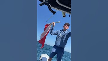 Anybody can Scuba Dive, but dive certification is just common sense 🤿🫵💦 #scubadiving