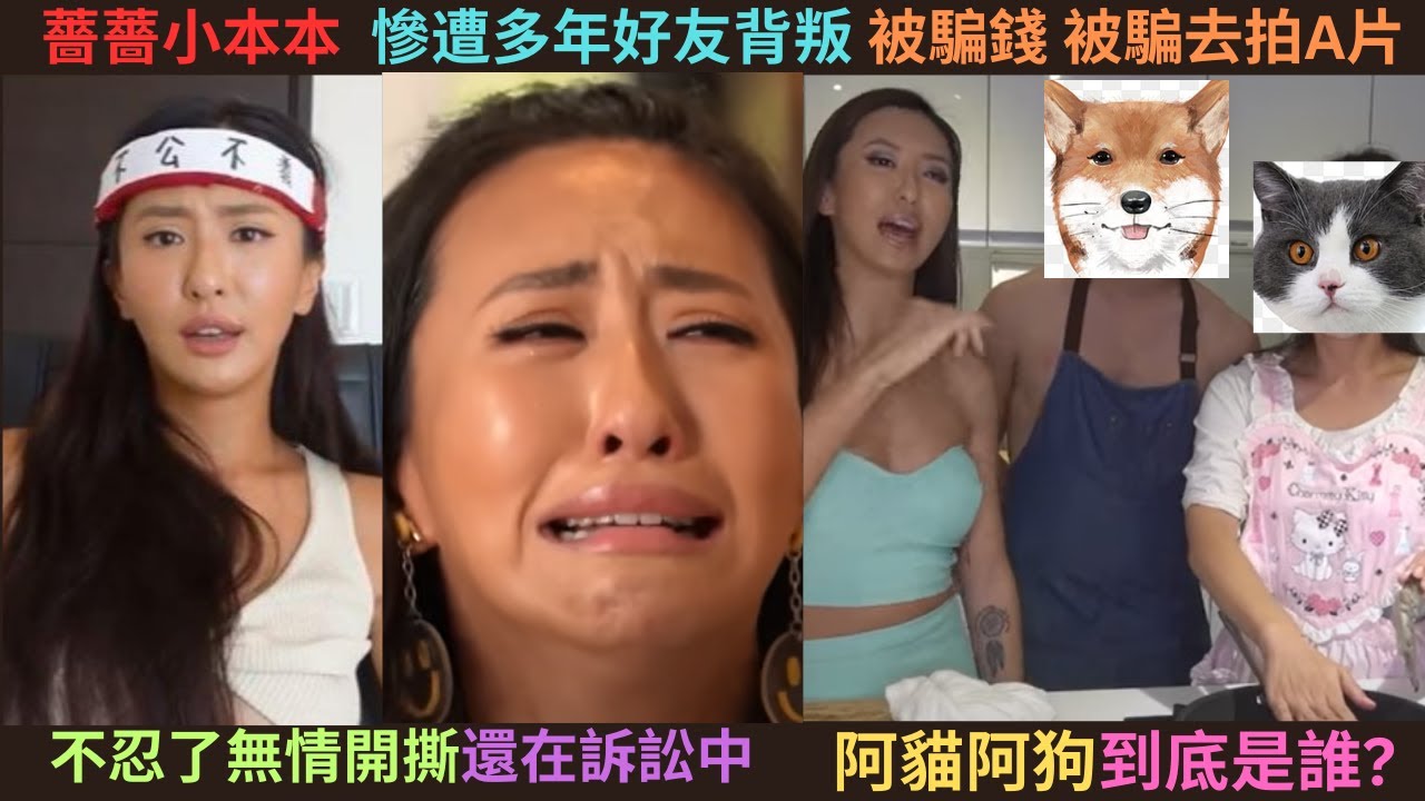 薔薔小本本之阿貓阿狗到底﻿是誰?薔薔慘遭多﻿年好友背叛被騙錢被騙去拍A片還被告了三十六條毀謗