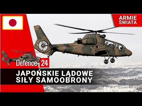 Wideo: Statki bojowe. Krążowniki. 