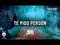 Te Pido Perdón - MTZ Manuel Turizo | Video Letra