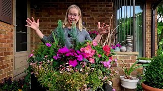 Clearance Plant Haul!  Home Depot, Lowes & Hirts! // Suburban Oasis