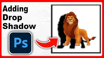 How to Add Drop Shadow in Photoshop - Full Guide 2024
