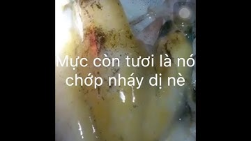 MỰC TƯƠI LÀ PHẢI NHƯ THẾ NÀY - MỰC PHÚ QUỐC