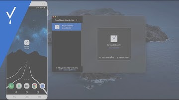 Beyond Identity in Action
