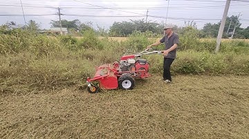 Máy cắt cỏ trục băm động cơ Honda gx630