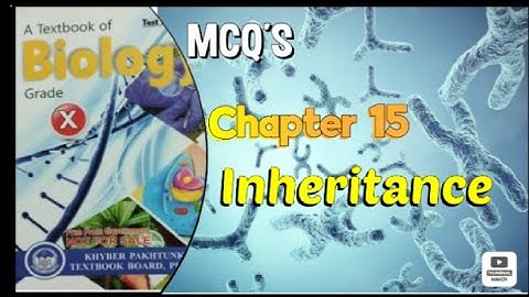 Chapter 15 MCQ