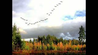 видео: Русская   песня  картинка: Русская   песня