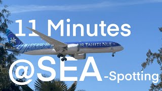 11 Minutes of Planespotting at Seattle Tacoma