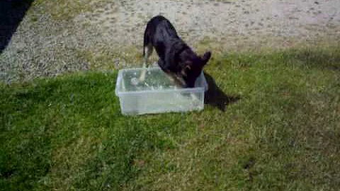 Ramus the destroyer  having a  paddle