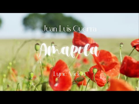 Juan Luis Guerra 4.40 – Amapola (Lyric Video)