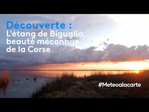 Découverte : l'étang de Biguglia, beauté méconnue de la Corse