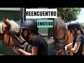 REENCUENTRO con mi PONY | MUY EMOTIVO