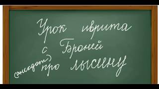 Урок иврита с Броней. О лысине.. и корне ק.ר.ח. анекдот и чуточку о словообразовании Урок иврита с Броней. О лысине.. и корне ק.ר.ח. анекдот и чуточку о словообразовании