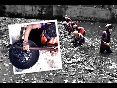 The Unsung Heroes of the 2017 Mumbai Flood