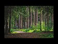 PURE518963放鬆音樂 輕音樂 Relaxing Music Light Music PURE518963放鬆音樂 輕音樂 Relaxing Music Light Music