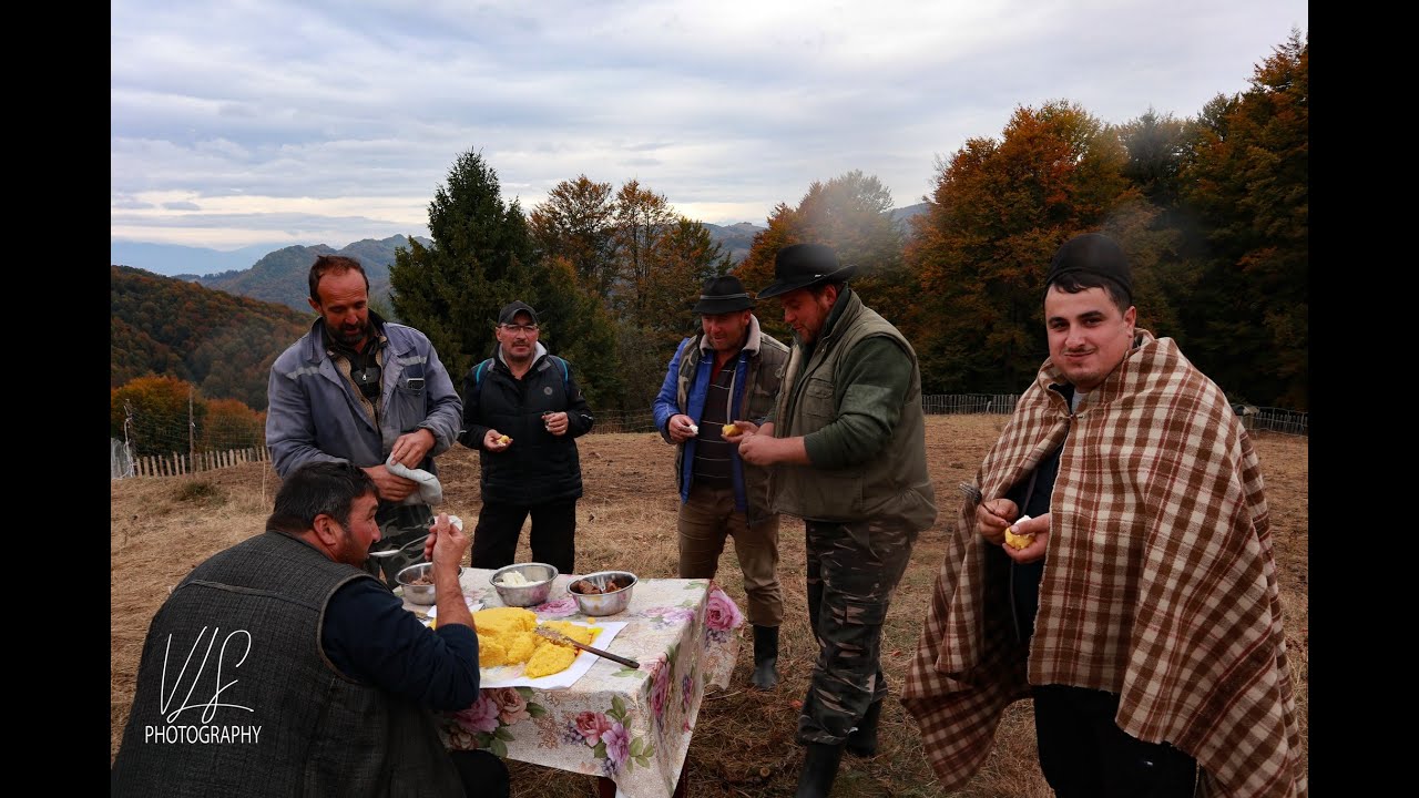 Ajunsi la stana  carnea  sfaraie in tigaie , mamaliga bolboroseste in ceaunul de pe foc!