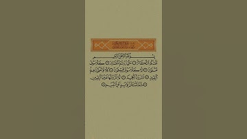 سورة التكاثر أحمد العجمي