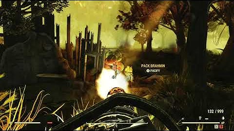 The Mire Scene Random Encounter Hotspot #10 - Fallout 76