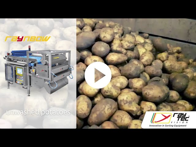 Raynbow sorter for unwashed potatoes | Raytec Vision class=