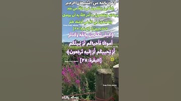 حفظ سورة البقرة آية 27/28/29