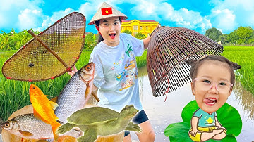 Changcady trổ tài bắt cá ngoài đồng về làm thức ăn cho mèo, bắt được con ếch, cá trạch, cá trê