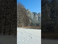 Mysterious Animal Paths on Frozen Lake ❄️ ASMR Slow Turn to Sunny Horizon #asmr #frozenlake  #relax