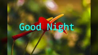 Good Night Video! Top Good Night Wishes Greetings Quotes Ecards Images Picture WhatsApp Message#1 screenshot 1